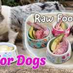 Raw Diet For Dogs