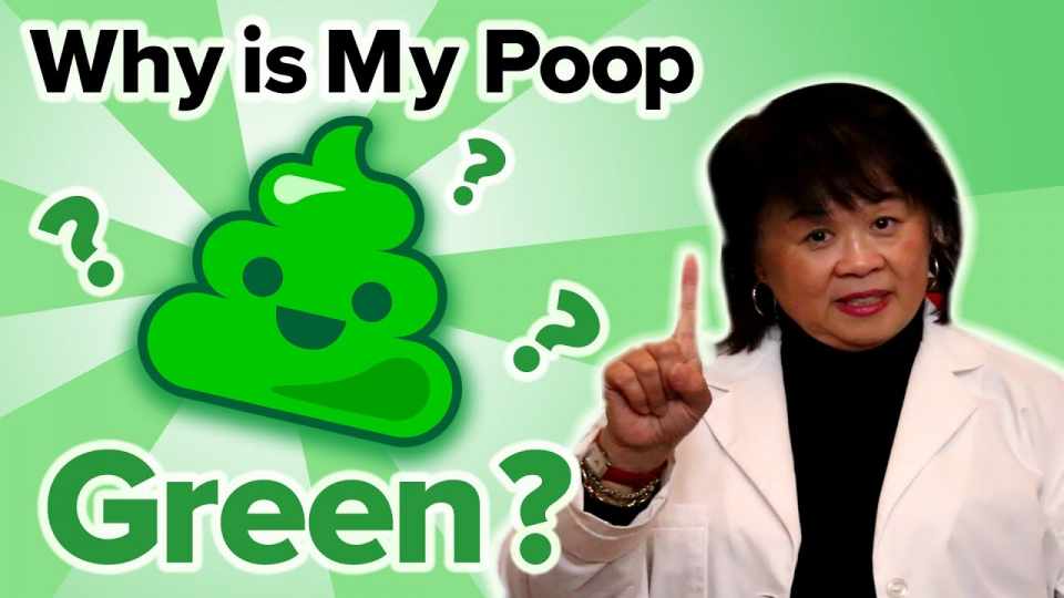 Why Is My Poop Green
