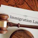 Study Immigration Law