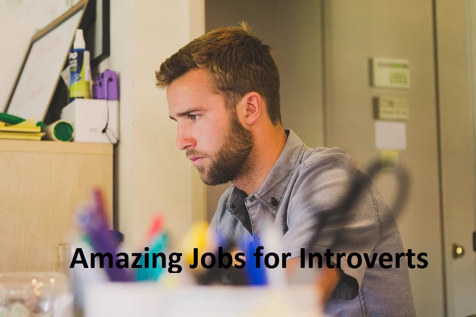 jobs for introverts