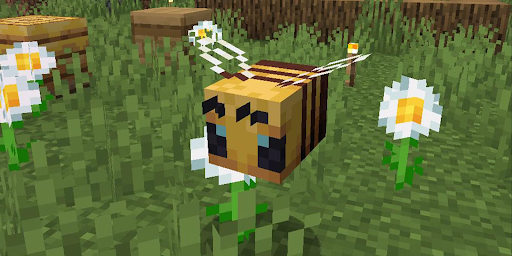 How to collect honey in Minecraft