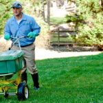 spring green lawn care
