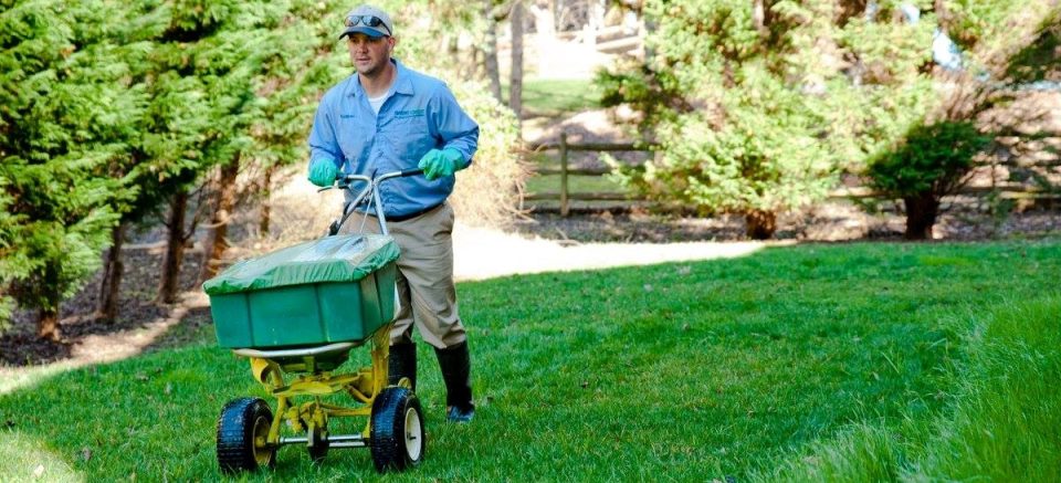 spring green lawn care
