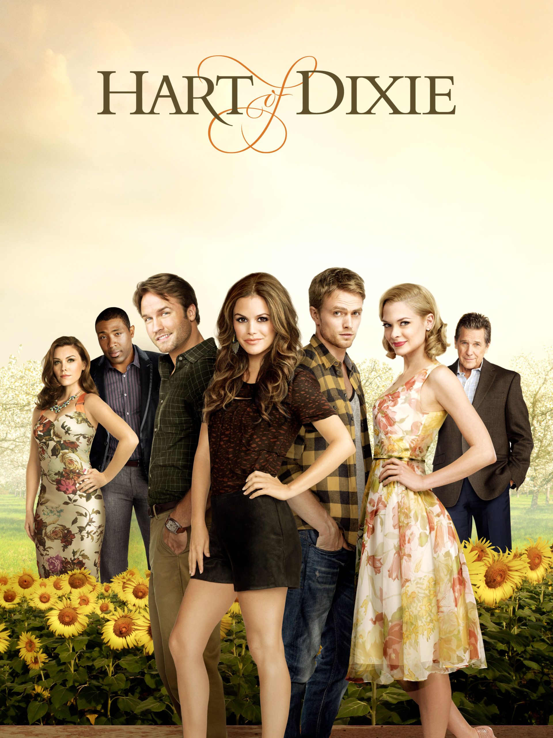 Hart of Dixie Synopsis