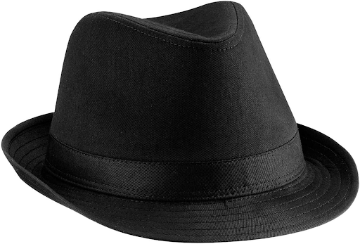 Types of hats for men fedora