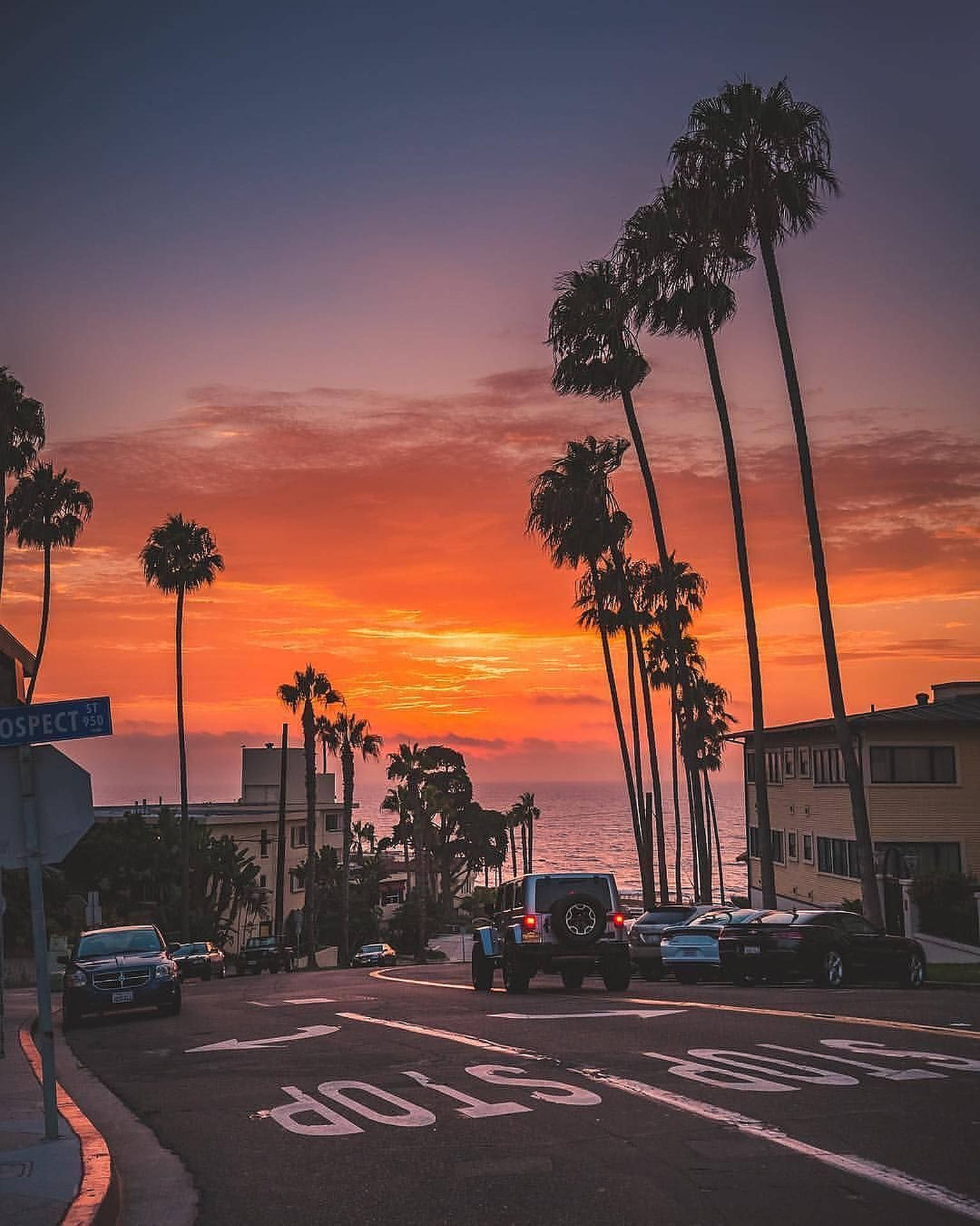 Sunset Boulevard-ONE DAY IN LA